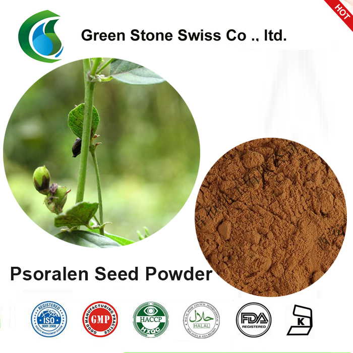 Psoralen Seed Powder 牛皮岩种子粉