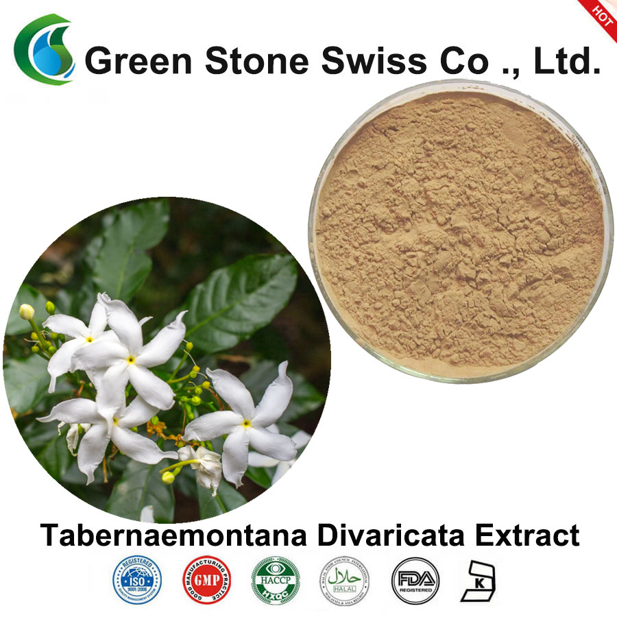 Tabernaemontana Divaricata Extract tabernaemontana divaricata提取物