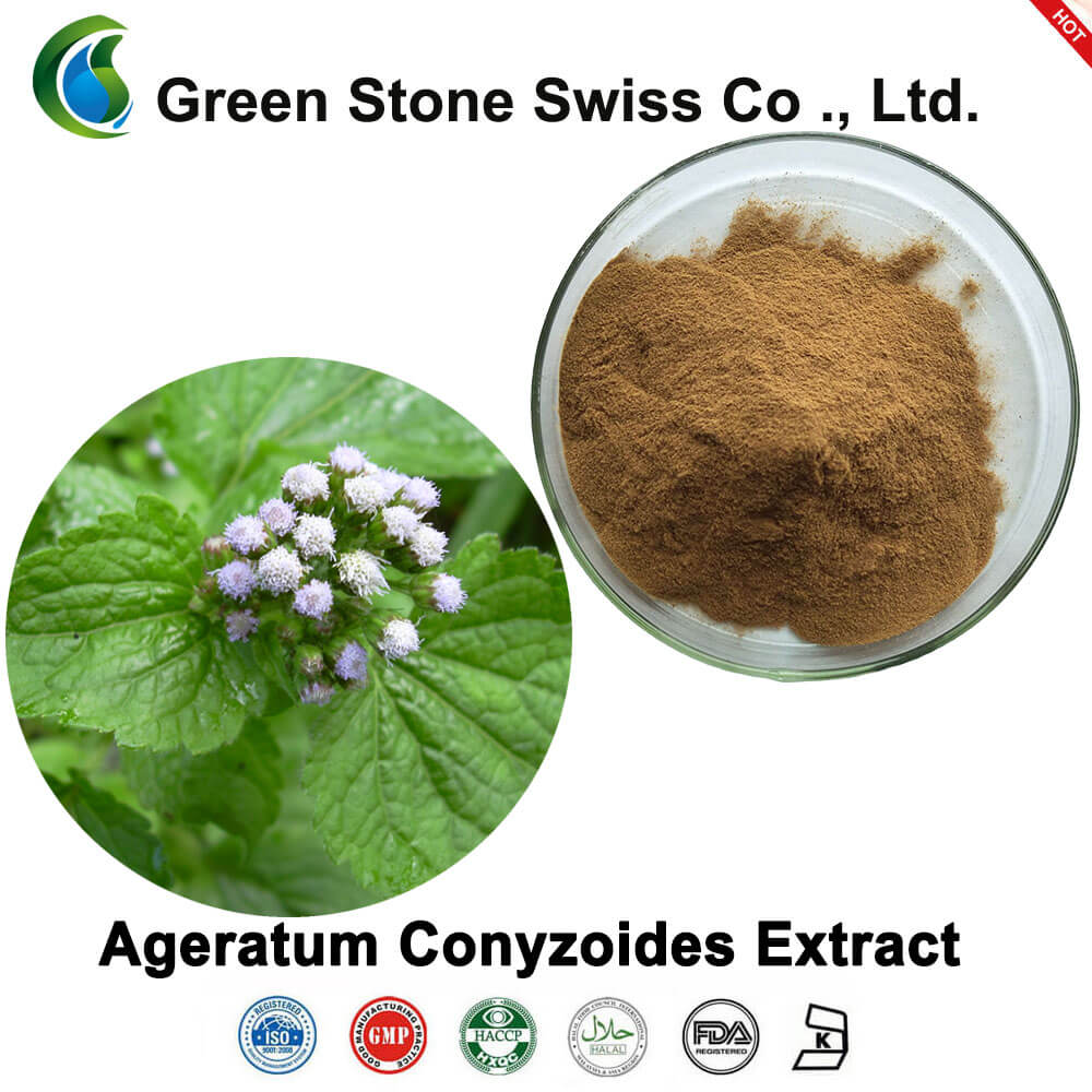 Ageratum Conyzoides Extract Ageratum conyzoides提取物