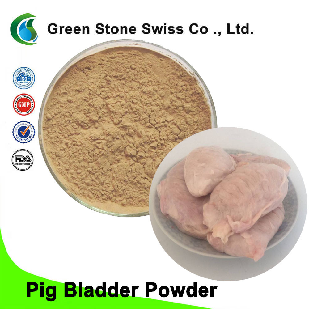 Pig Bladder Powder 猪膀胱粉