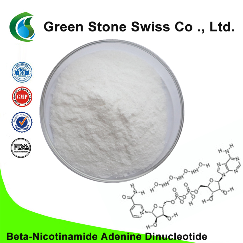 Beta-Nicotinamide Adenine Dinucleotide