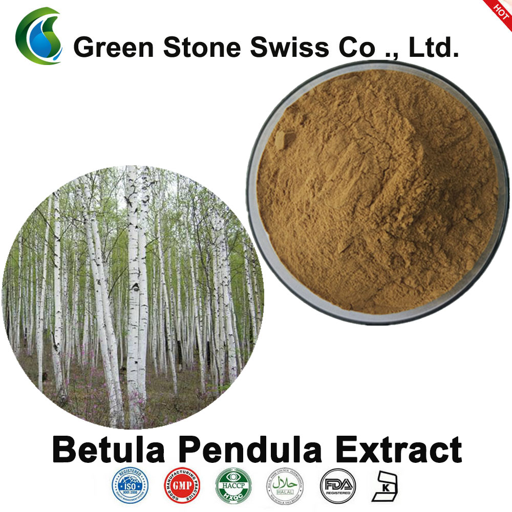 Betula Pendula Extract