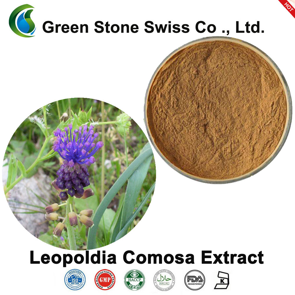 Leopoldia Comosa Extract