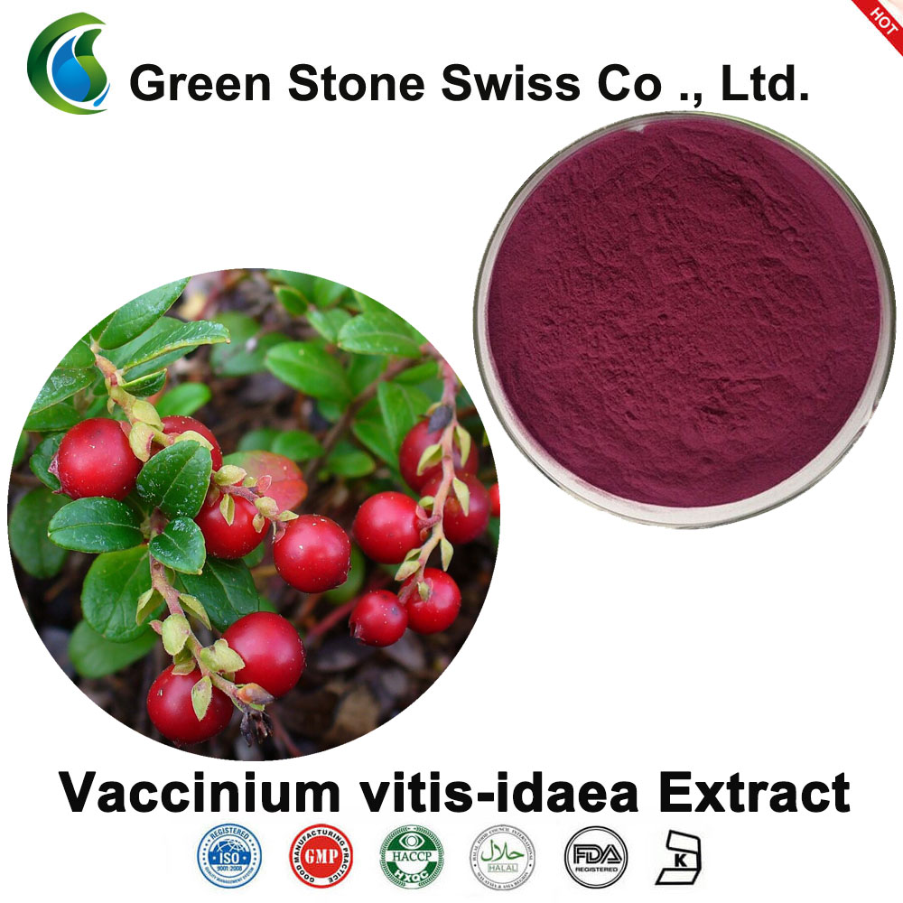 Lingonberry Extract(Vaccinium vitis-idaea Extract)