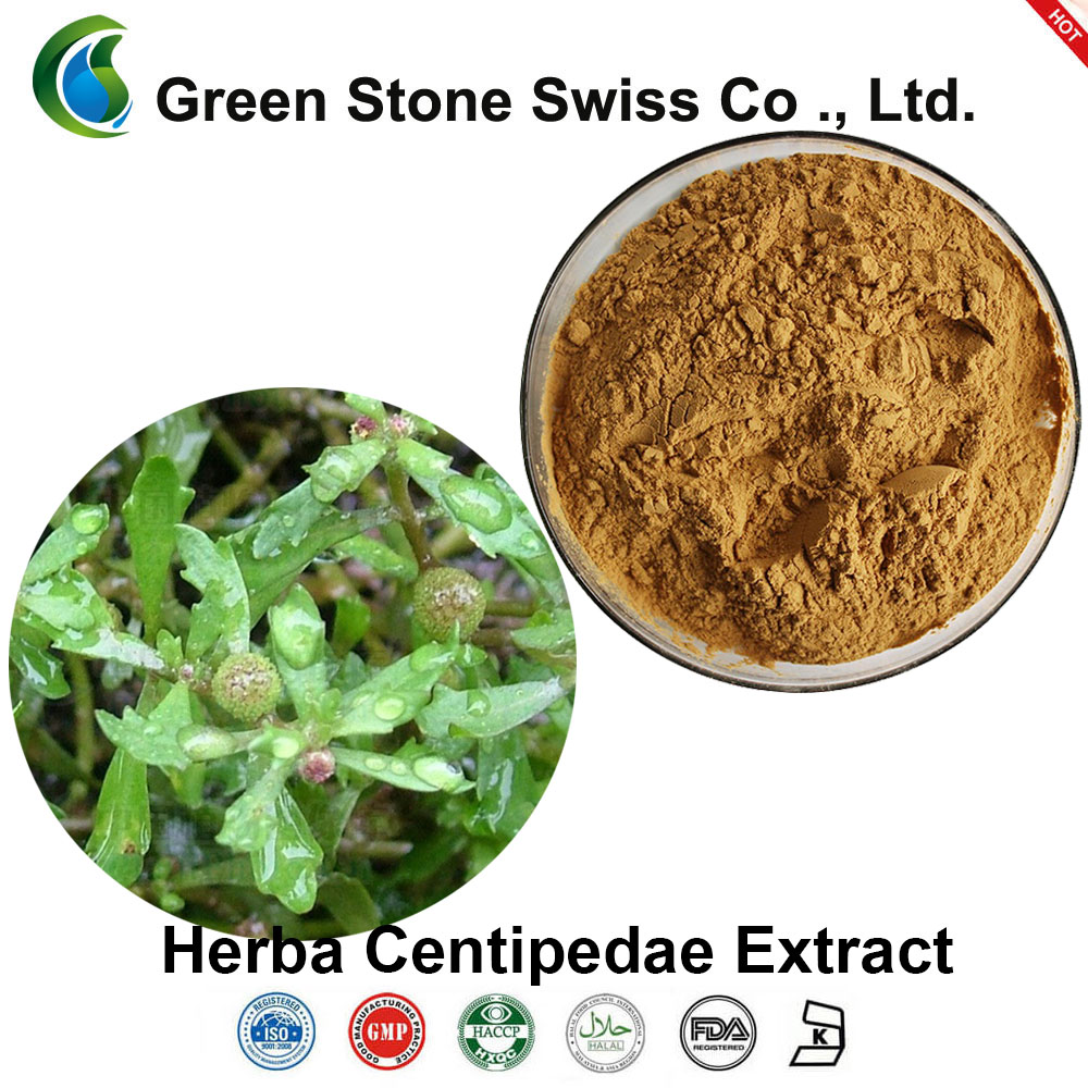 Herba Centipedae​​提取物