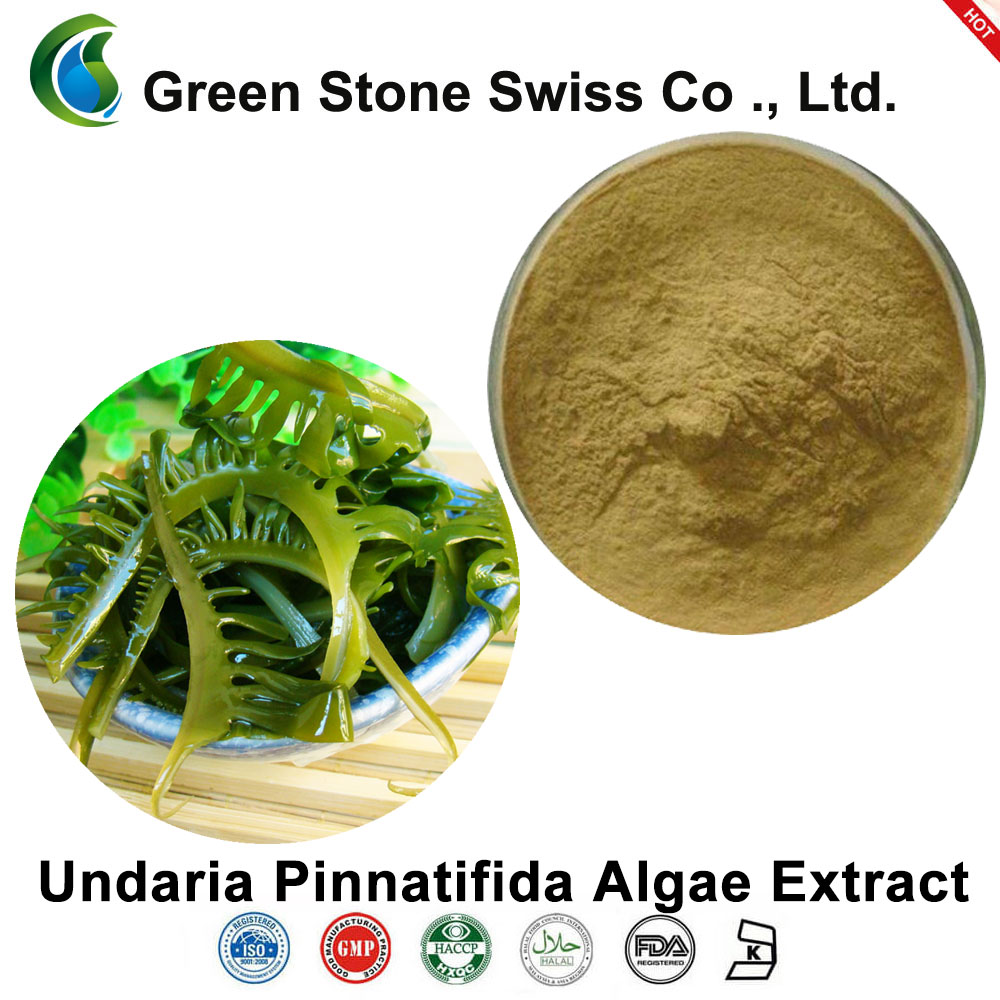 Undaria Pinnatifida Algae Extract