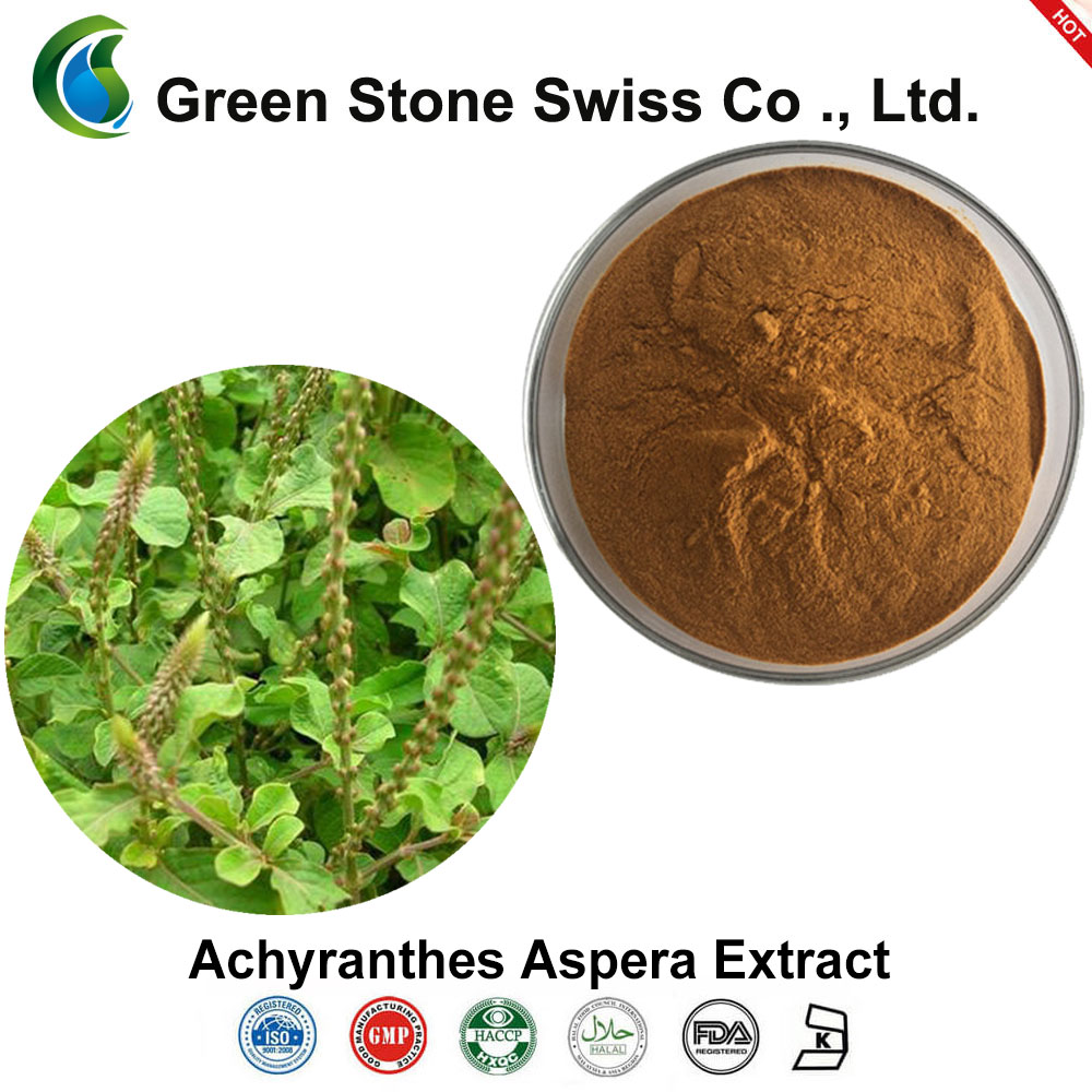 Achyranthes Aspera Extract