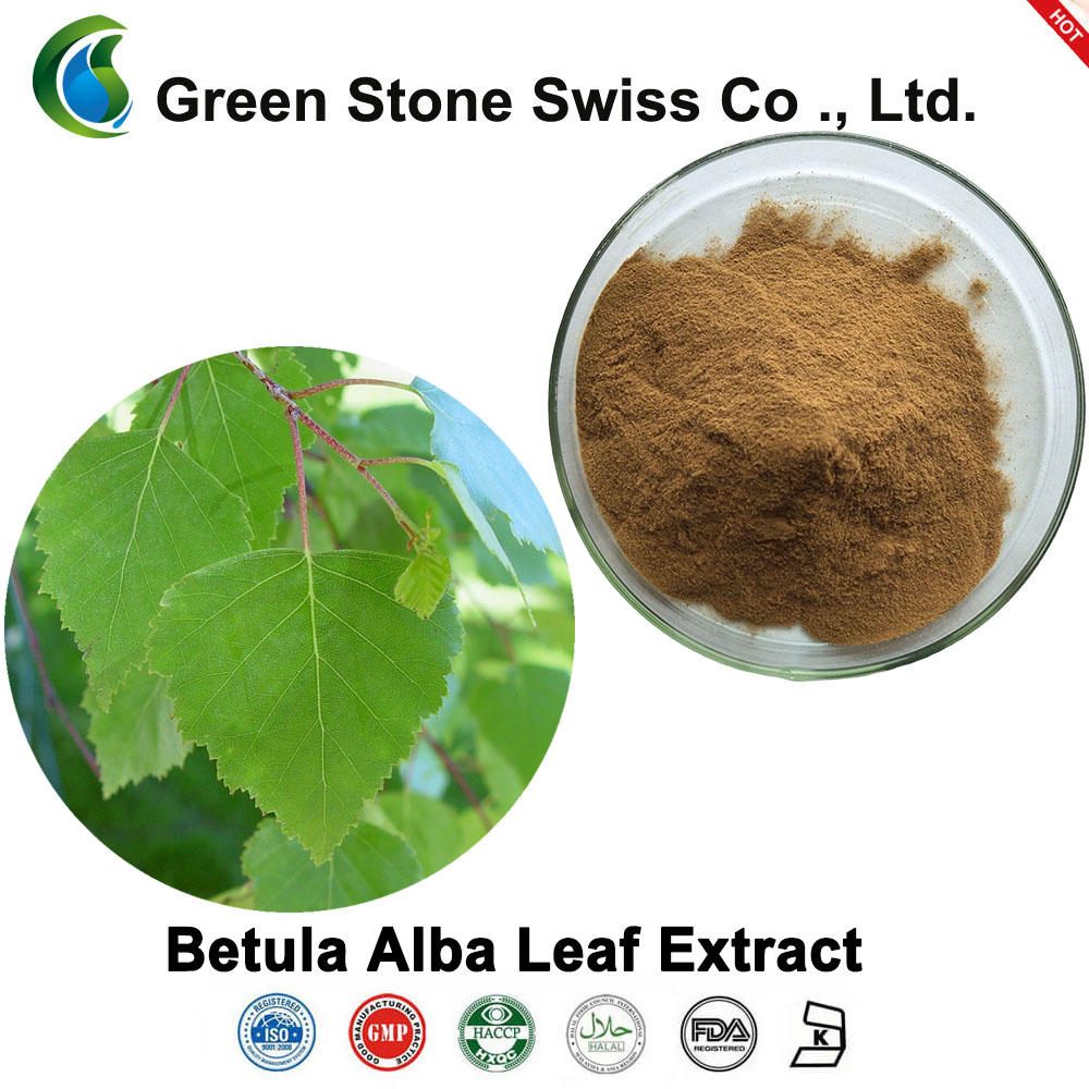 Betula Alba Leaf Extract