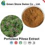 Portulaca Pilosa Extract